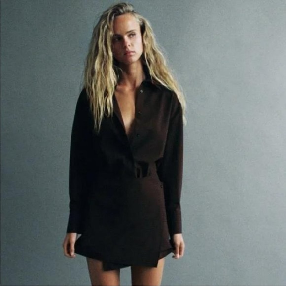 Zara PINSTRIPE SHIRT DRESS - Picture 3 of 6